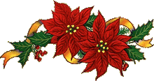 Poinsettias and ribbons for Christmas.